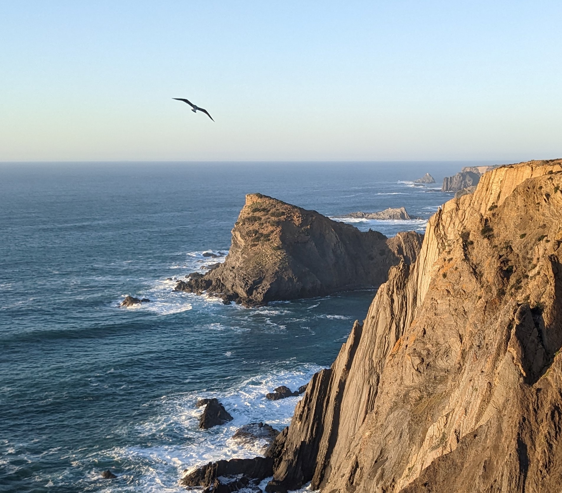 What you can expect when working together